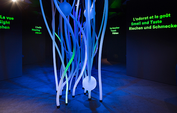 Le nouvel Alimentarium se caractérise notamment par une nouvelle scénographie interactive, un mur communautaire ou encore de nouveaux espaces de restauration