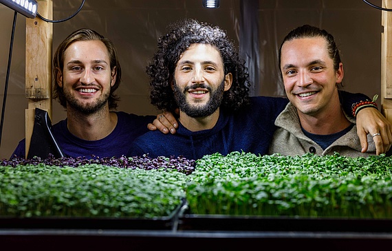Manuel Vock, Denis Weinberg und Robin Bertschinger (v. l.): Wohin sie das Start-up mit den Pflänzchen wohl noch treibt? 