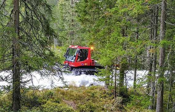 Die Möglichkeit, bereits im Herbst auf Schnee zu trainieren, lockt viele Langläufer nach Davos. (ZVG)