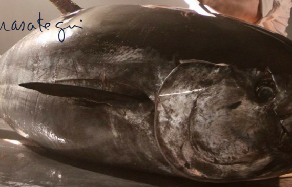 Am Dienstag in Spanien gefangen, am Mittwoch in Zürich serviert: Thunfisch der Extraklasse von der Firma Balfego. (ZVG)