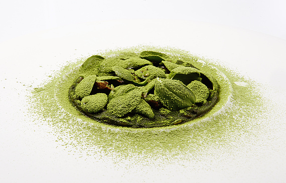 Trois jours durant, Madrid Fusion a réuni quelque 13 000 visiteurs qui ont assisté à des shows passionnants et à la présentation de plats étonnants - ici une création d'Andreas Rieger. (dr) Trois jours durant, Madrid Fusion a réuni quelque 13 000 visiteurs qui ont assisté à des shows passionnants et à la présentation de plats étonnants - ici une création d'Andreas Rieger. (dr)