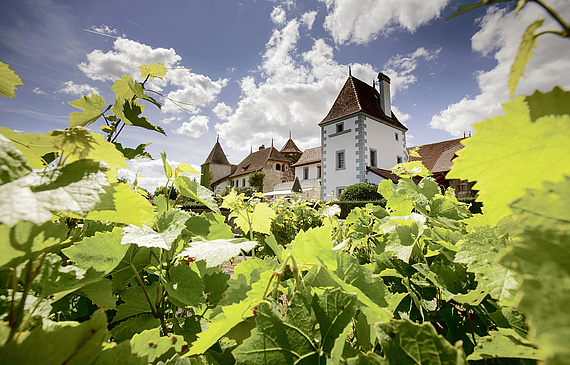 Dans la famille Humbert depuis 1922, le Château de Duillier sur la Côte célèbre cette année le trentième anniversaire de sa cave vinifiant les 14 cépages plantés au domaine.