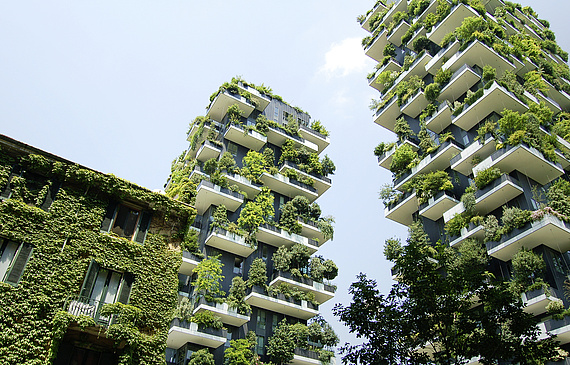 Les milieux urbains abriteront-ils de nouvelles formes d’agriculture? (Unsplash)