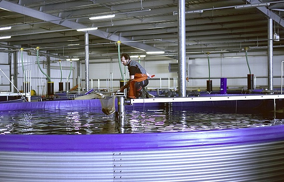 L’outil de production de Valperca à Rarogne a nécessité un investissement de plusieurs millions de francs. (DR)