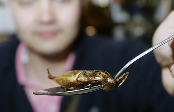 Steckt künftig Heuschrecke statt Rind zwischen den beiden Brotscheiben? (Keystone) Steckt künftig Heuschrecke statt Rind zwischen den beiden Brotscheiben? (Keystone)