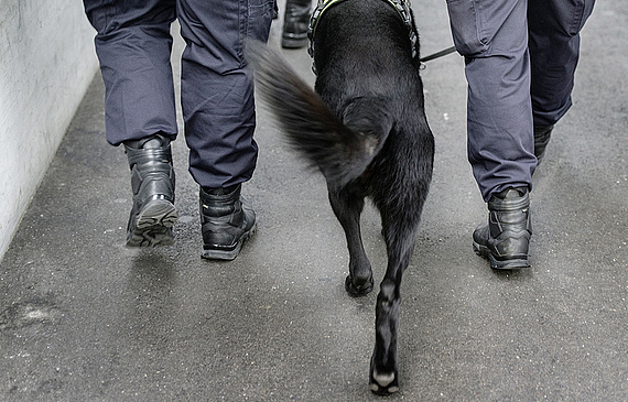 Hotels arbeiten präventiv mit der Polizei: WEF-Gäste in Davos werden durch Bombenspürhunde gesichert. (Keystone)