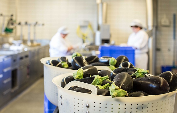 Das Kantonsspital St. Gallen ist ein Culinarium-zertifizierter Betrieb. 60 Prozent der Produkte stammen von Bauernhöfen aus der Region und werden im Spital täglich frisch gerüstet. (Bilder Claudia Link) Das Kantonsspital St. Gallen ist ein Culinarium-zertifizierter Betrieb. 60 Prozent der Produkte stammen von Bauernhöfen aus der Region und werden im Spital täglich frisch gerüstet. (Bilder Claudia Link)