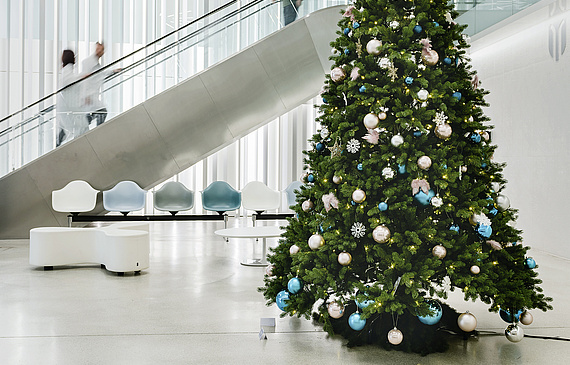 Für das Berner Inselspital wurde im Berner Oberland eine Weisstanne geschlagen. Weihnachtlich geschmückt, soll sie Patienten, Ärzten und Mitarbeitern des Spitals Freude bereiten. (Bilder ZVG)