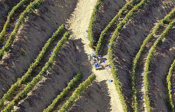La vallée du Douro est classée comme paysage viticole au Patrimoine mondial de l’Unesco et a été l’une des premières appellations d’origine contrôlée au monde.