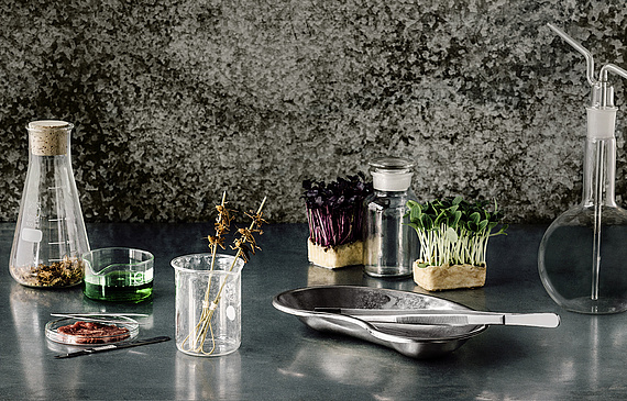 Ein Blick auf das, was künftig auf unseren Tellern liegen könnte. (ZVG)